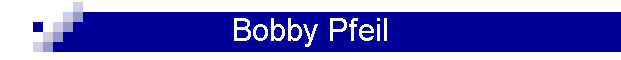Bobby Pfeil